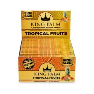 KING PALM