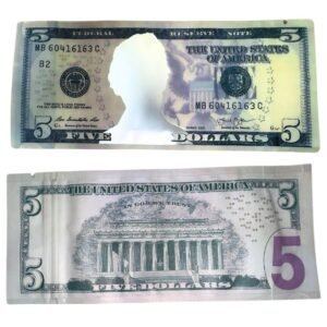 DOLLAR NOTES