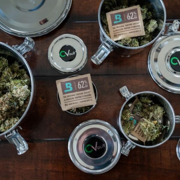 CVAULT MEDIUM 62% BOVEDA CONTAINER JAR - Image 2